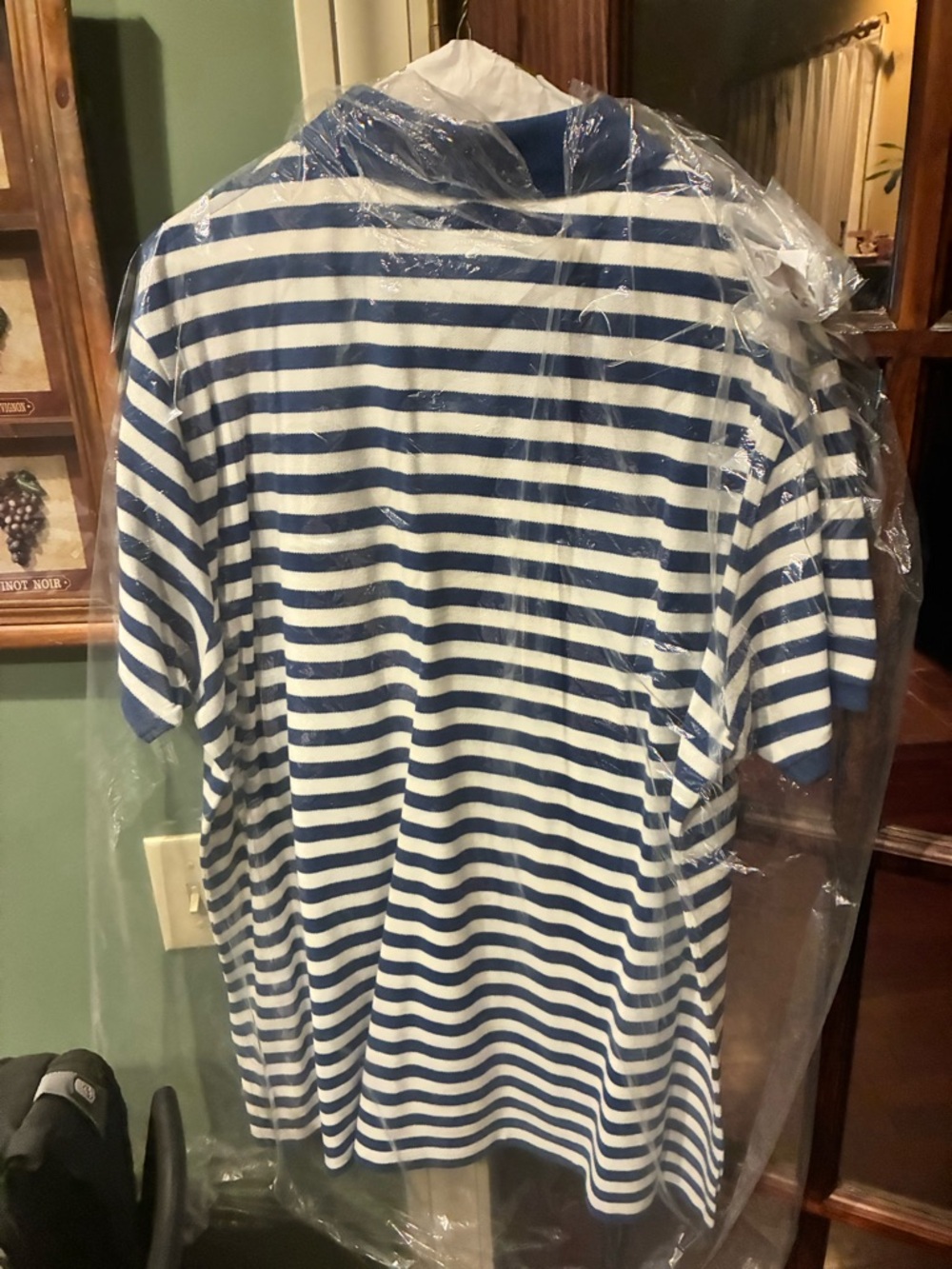 Polo by Ralph Lauren Blue and White Striped Short-Sleeve Polo